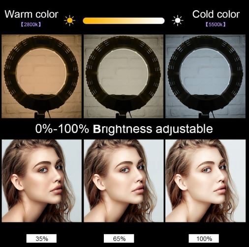 Ring light BI Color 100w 18" with stand and bag