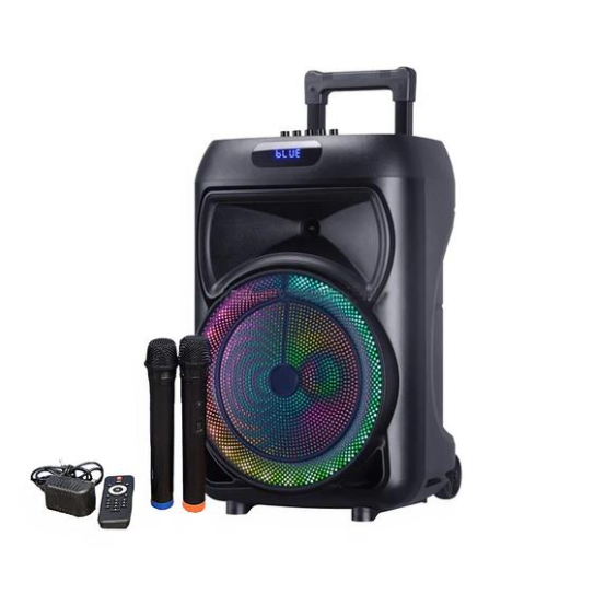 Tecnolux Single 12 Inch Media 40W High Power Party Speaker HS-TS12S2