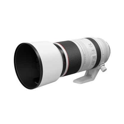 Canon RF 100-500mm f/4.5-7.1 L IS USM Lens